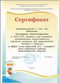 Сертификат всероссийского игрового конкурса для дошкольников "Человек и природа" за организацию всероссийского игрового конкурса  "ЧиП"
